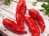 Bienfaits du piment