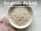 Guide du kôji : tout savoir sur le ferment roi du Japon