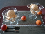 Sorbet abricot