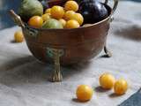 Best of de recettes sur les prunes