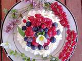 Pavlova à la framboise et ses fruits rouges