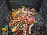 Quels sont les déchets que l’on peut mettre au compost