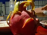 Découvrez le fruit du dragon en Thaïlande : Un délice exotique utilisé en cuisine