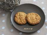 Cookies au beurre de cacahuètes et pépites de chocolat au thermomix ou sans
