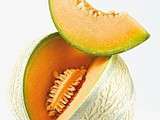 Zoom sur ... le(s) melon(s)