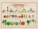 Légumes et fruits de Novembre