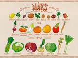 Légumes et fruits du mois de Mars