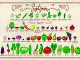 Liste des fruits et légumes pour le mois de Septembre