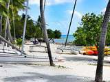 Guadeloupe : activités et lieux à découvrir