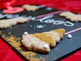 Gingerbread cookies, gluten free, sugar free, lactose free and vegan
