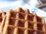 Waffles! But candida free, gluten, lactose and sugar free