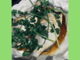 Dorade à la coriandre