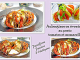 Aubergine en éventail à la sauce pesto, tomates et mozzarella