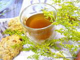Bienfaits de l'Artemisia et de la Poudre du fruits du graviola corossol dans une infusion avec du miel