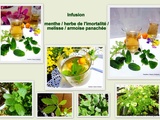 Infusion mélisse ,menthe herbe de l'immortalité et armoise panachée