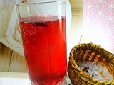 Kéfir à la sève de bouleau lactofermenté et aux fleurs d'hibiscus