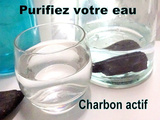 Pas cher - purifiez votre eau de boisson - filtre a eau en charbon actif