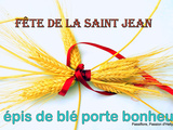 Saint jean - Faites un petit bouquet de 7 épis de blé - porte bonheur