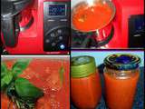 Sauce tomate Provençale, au  robot klarstein 