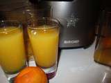 Vidéo jus d'orange, CLÉMENTINE, citron avec mon extracteur de jus VITALY4life