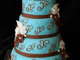 Mariage chocolat turquoise
