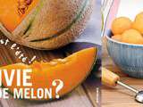 Dossier Été 2015 : Zoom sur le melon, cest de saison