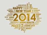Meilleurs voeux pour cette année 2014