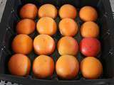 Moelleux aux abricots (moule tablette)