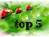 Top 5 – Avril 2021