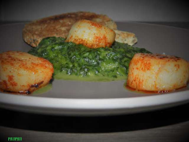 Recettes de Noix de Saint-Jacques de Patipati cuisinons pour le plaisir
