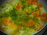 Petit plat de poireaux, pommes de terre et carottes