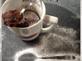 Mug cake au chocolat de sylvie