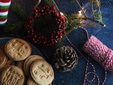 Biscuits de Noël à la cannelle, gingembre et vanille