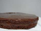 Gâteau au chocolat bicouche de Mercotte