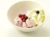 Creme glacee vanille & coulis de fruits rouges & chantilly maison