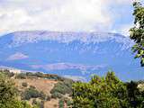 Bonnes adresses gourmandes dans le Nord-Est de la Sardaigne : Calavrina à Bitti