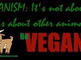Végétarisme, Veganisme : Partager ses Convictions