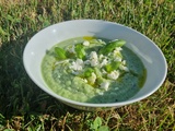 Soupe froide de courgette à la feta (sans cuisson)