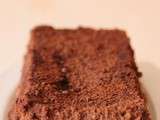 Cake moelleux au chocolat de Thierry Mulhaupt
