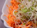 Salade de carottes râpées aux graines germées