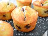 Muffins à la noix de coco et aux pépites de chocolat