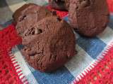 Cookies à la poudre chocolatée