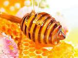 Brioche Nid d'abeille - Recette autour d'un ingrédient # 5