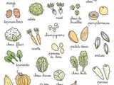 Calendrier des légumes et fruits de saison du mois de janvier