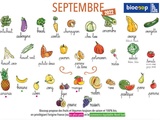Calendrier des légumes et fruits de saison du mois de septembre