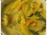 Potage de légumes au curry et au lait de coco