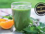 Smoothies verts aux plantes sauvages