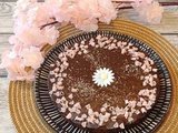 Gâteau moelleux au yaourt et au chocolat
