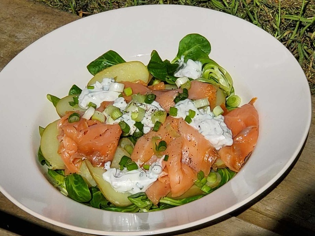 Recettes de Saumon et Pomme de terre