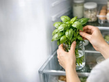 Comment conserver le basilic frais au frigo